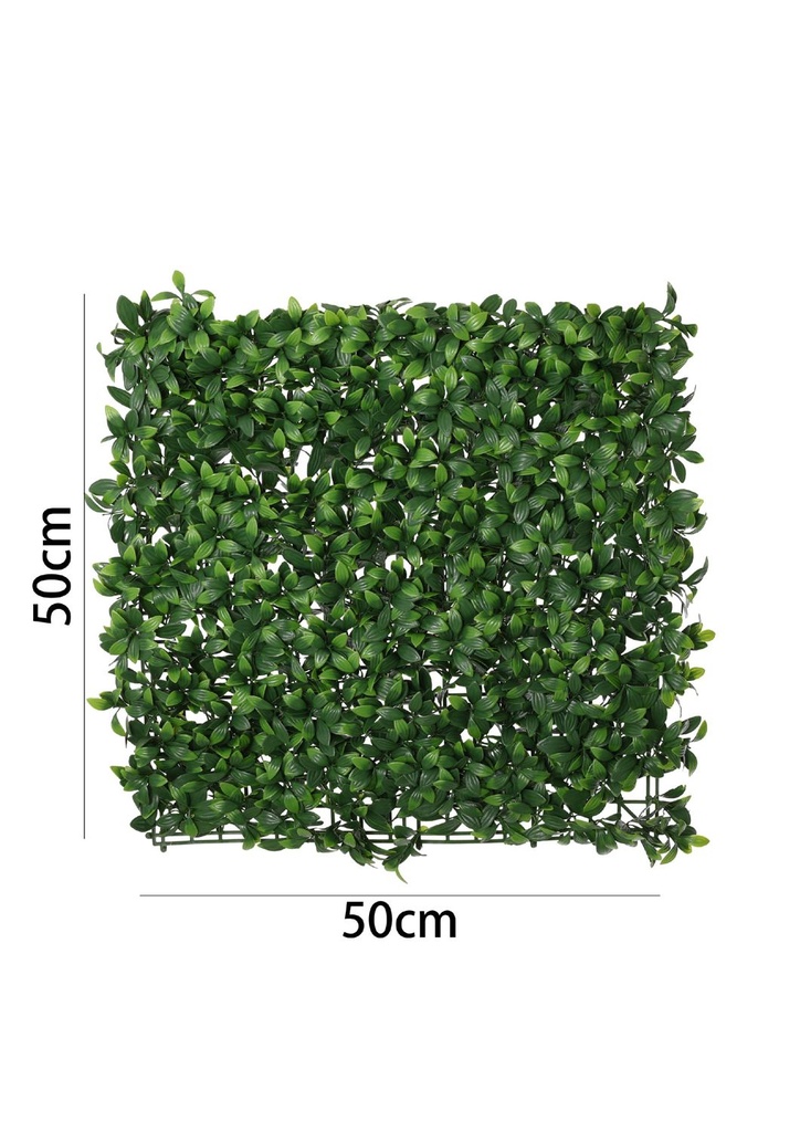 Pared de plantas 50*50cm - Jardín vertical