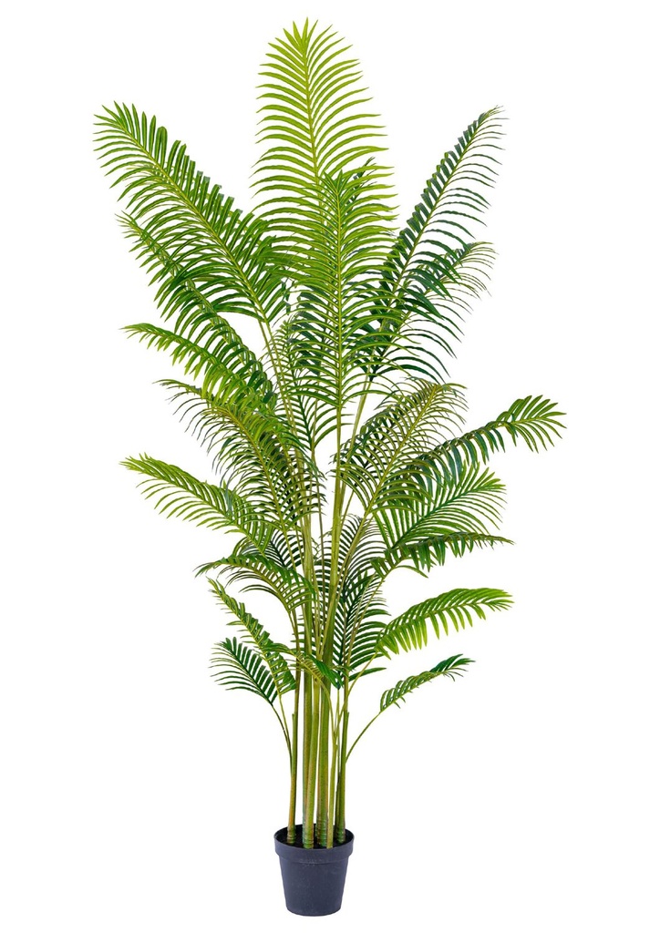 Árbol de palmera cola de pez 260cm para decoración