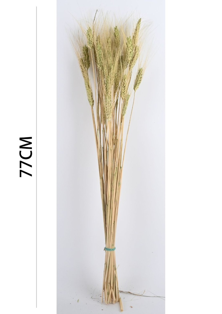 Flor seca 7152VERDE - Decoración natural