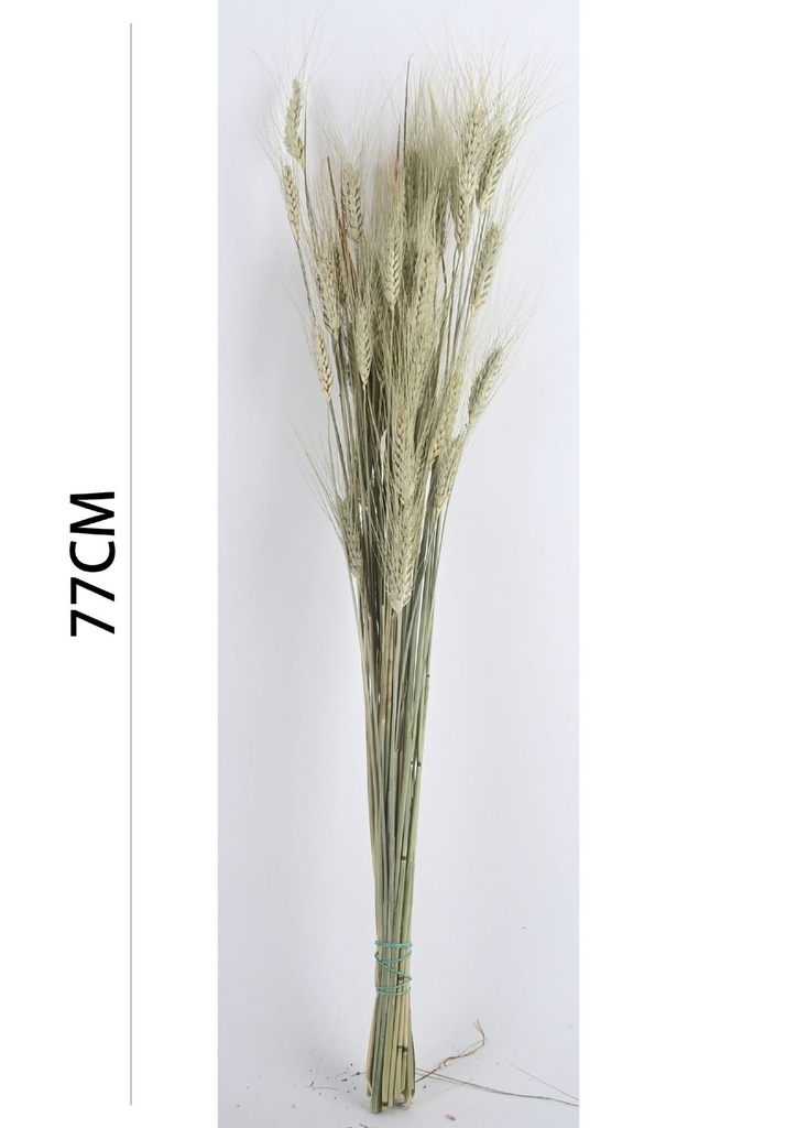 Flor seca verde 71cm