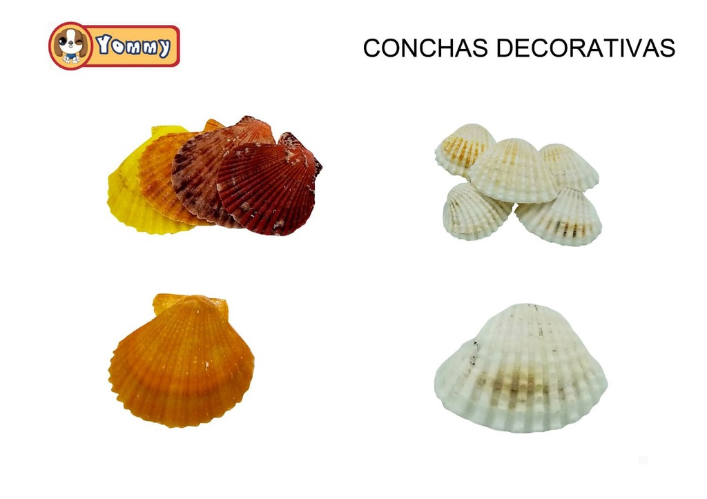 Conchas decorativas de abanico 150g para acuarios