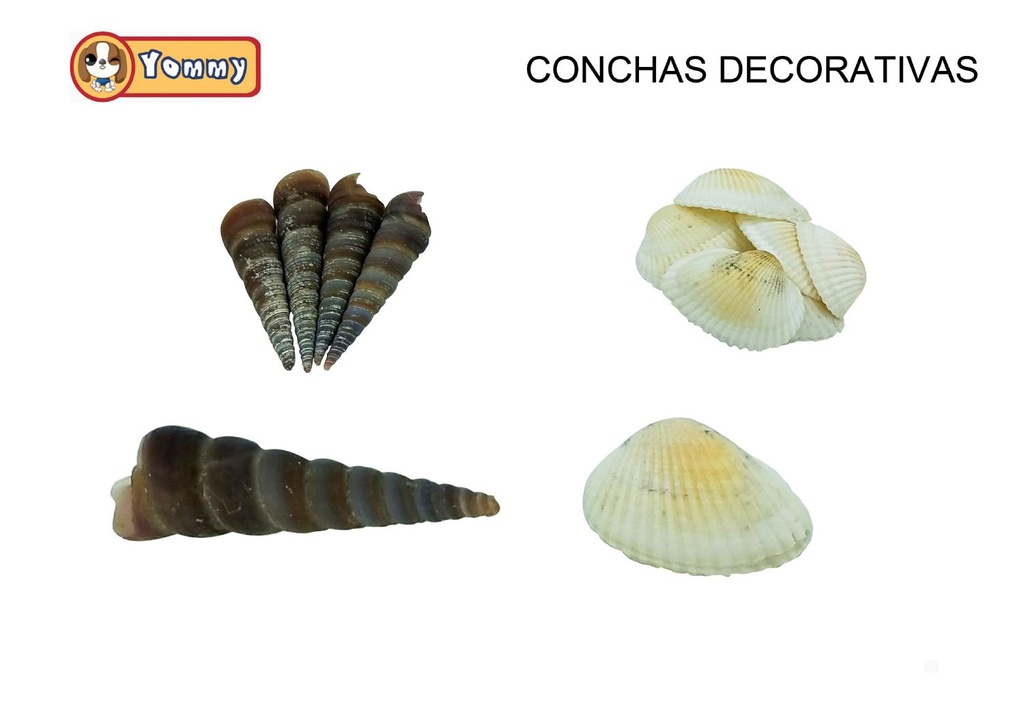 Conchas decorativas para acuarios 150g