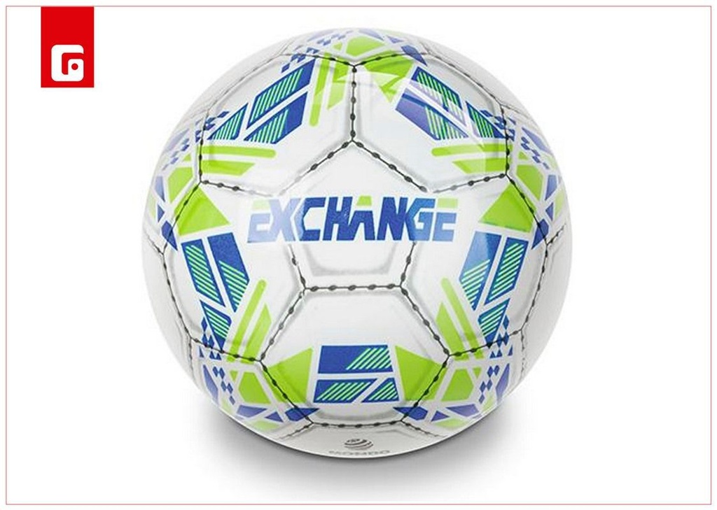 Pelota Exchange 230mm para juegos y actividades recreativas