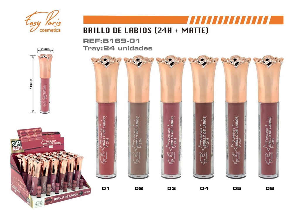 Brillo labial mate 24H 24 unidades - Maquillaje labial