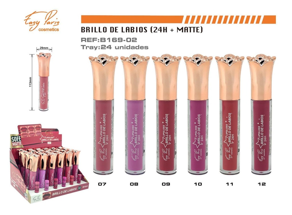 Brillo labial mate 24H 24 unidades - Maquillaje labial