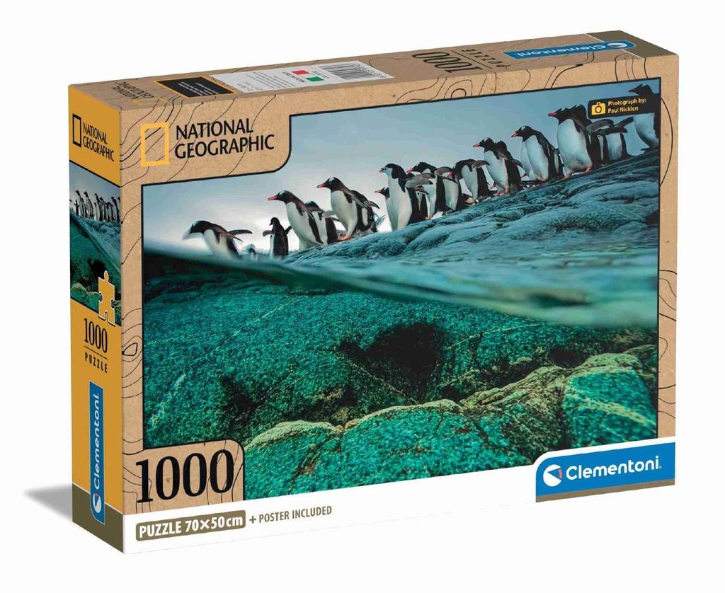 Puzzle 1000 compacto Nat Geo - Gentoo Penguin - Puzzles