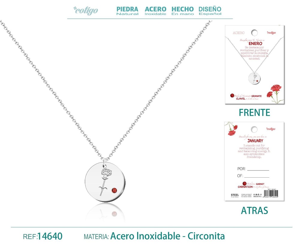 Collar de Acero para Nacimiento de Enero Plateado - Joyería personalizada para regalos