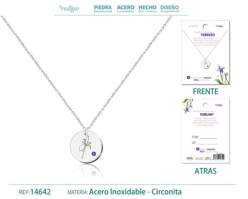 Collar de Acero para Nacimiento de Febrero Plateado - Joyería personalizada para regalos