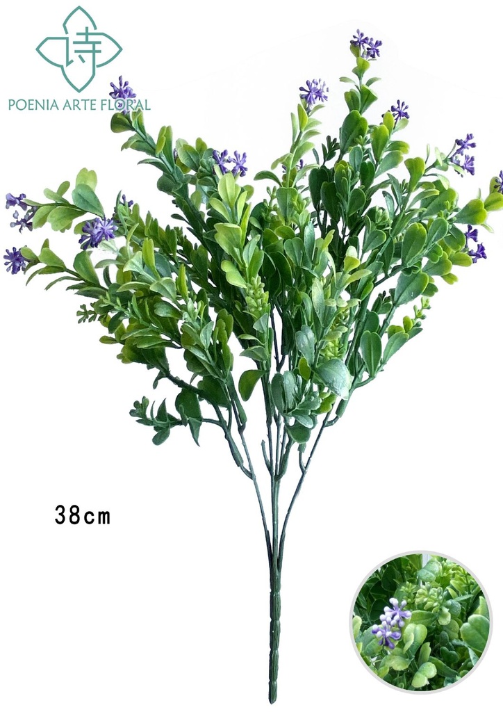 Ramo de hierbas de agua con pequeñas flores - Ramo decorativo - Serie de hierbas de agua