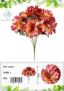 Ramo de dalias de 7 cabezas - Ramo decorativo