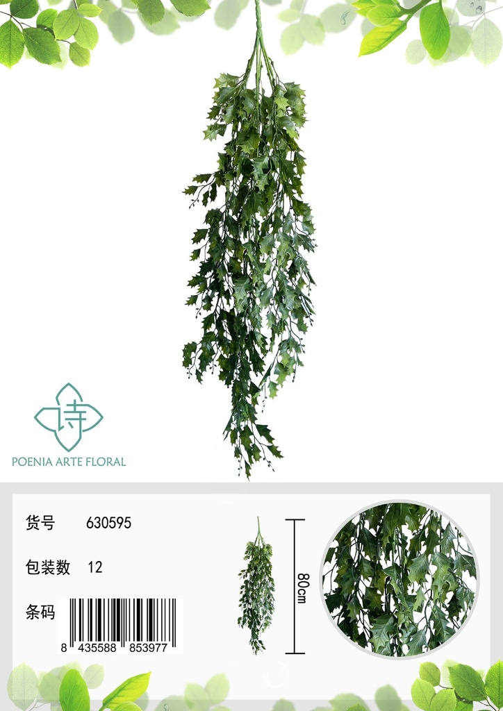 Planta colgante de hiedra - Decoración y jardinería