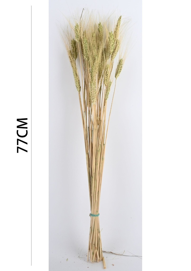 Rama de plantas secas 7152 verde claro - Decoración natural