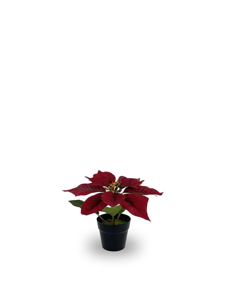Bonsái artificial de 1 cabeza de Flores de Navidad simuladas - Planta decorativa
