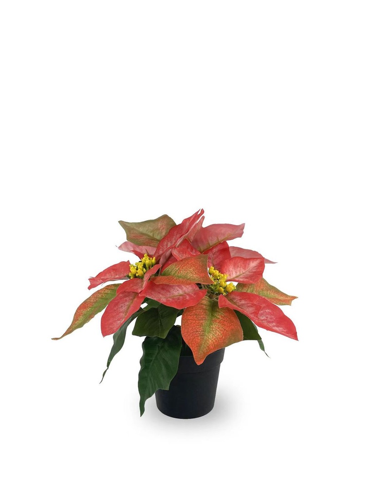 Bonsái artificial de 3 cabezas cortas de Flores de Navidad de 25 cm - Planta decorativa