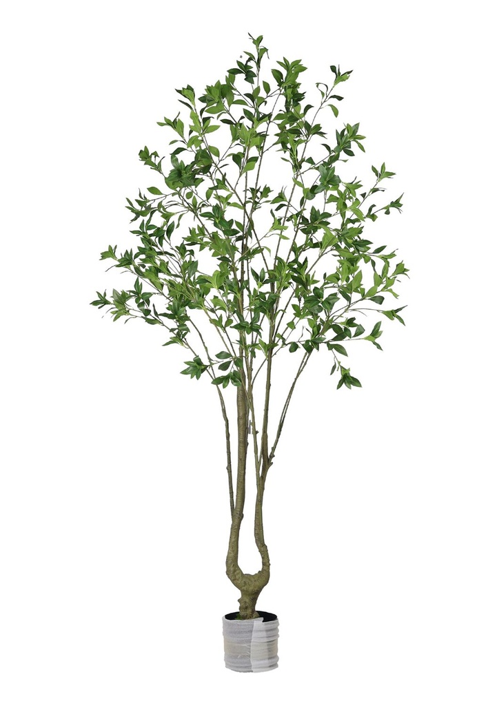 Planta artificial de árbol de maíz 210 cm - Plantas de interior
