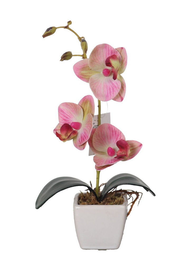 Ramo de flores artificiales - Bonsái de orquídea pequeña