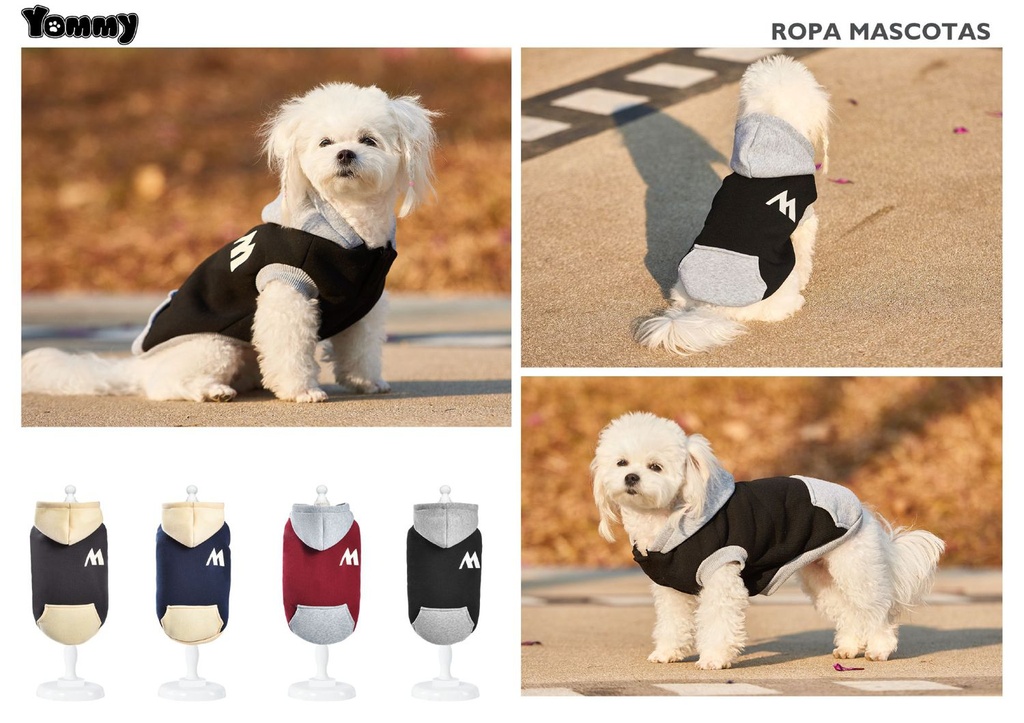 Ropa para mascotas - Sudadera de colores para perro S