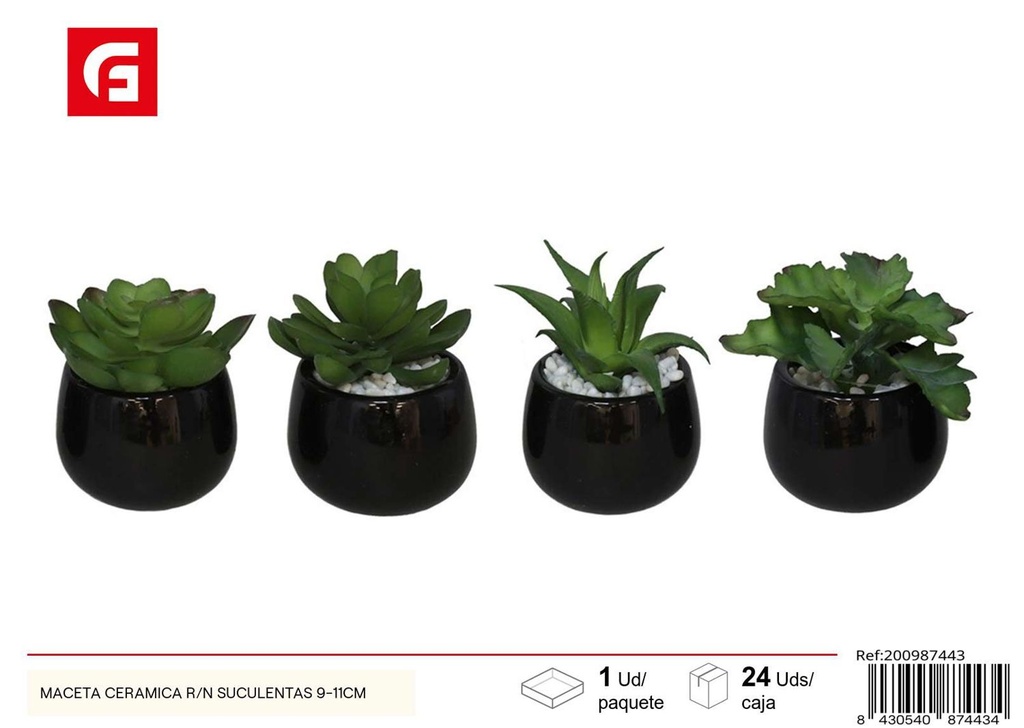 Maceta cerámica R/N suculentas 9-11 cm - Decoraciones para el jardín