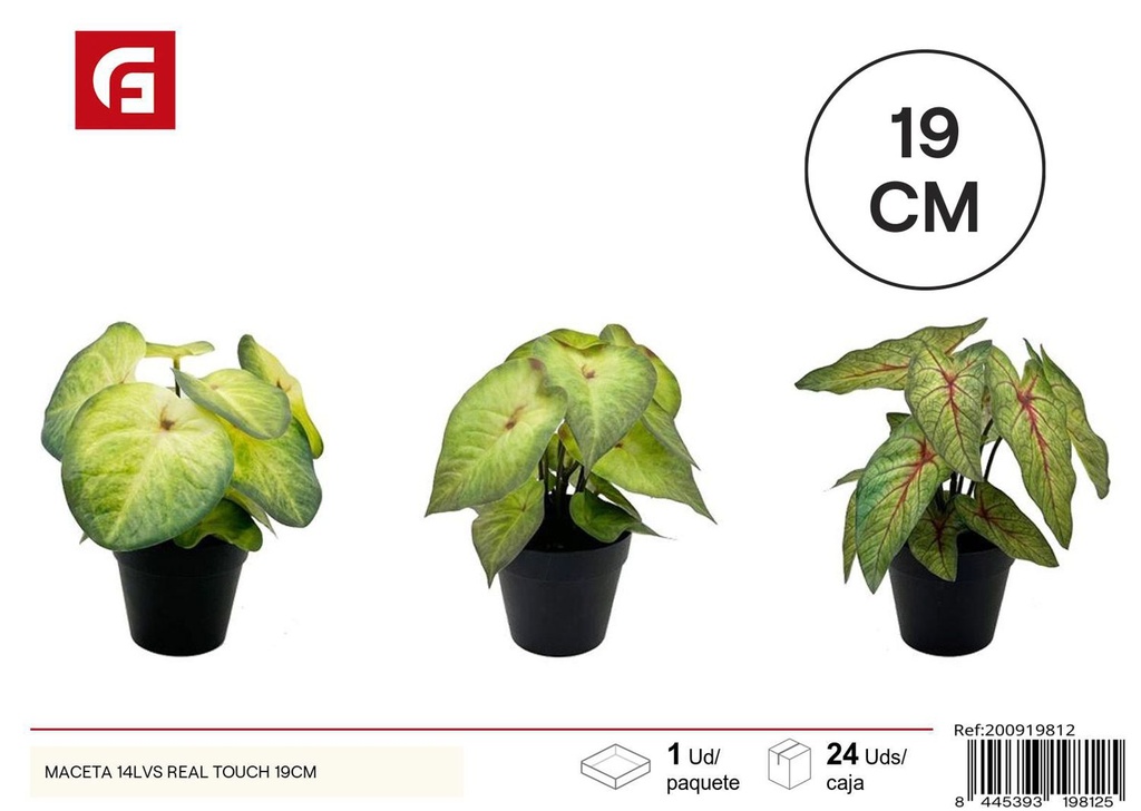 Maceta 14LVS Real Touch 19 cm - Plantas decorativas