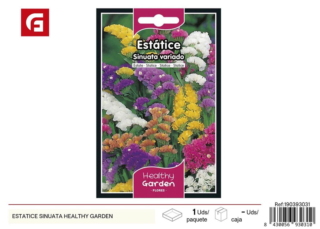 Semillas de estatice sinuata - Cultivo de flores secas y decorativas