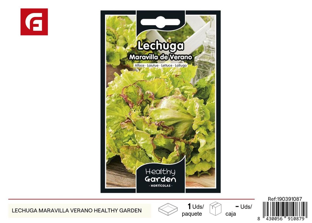 Semillas de lechuga maravilla verano - Cultivos frescos para ensaladas