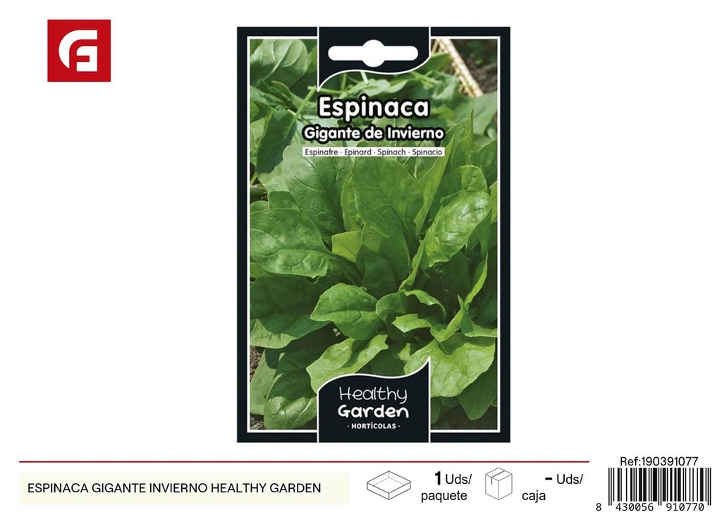 Semillas de espinaca gigante invierno - Cultivo resistente y nutritivo