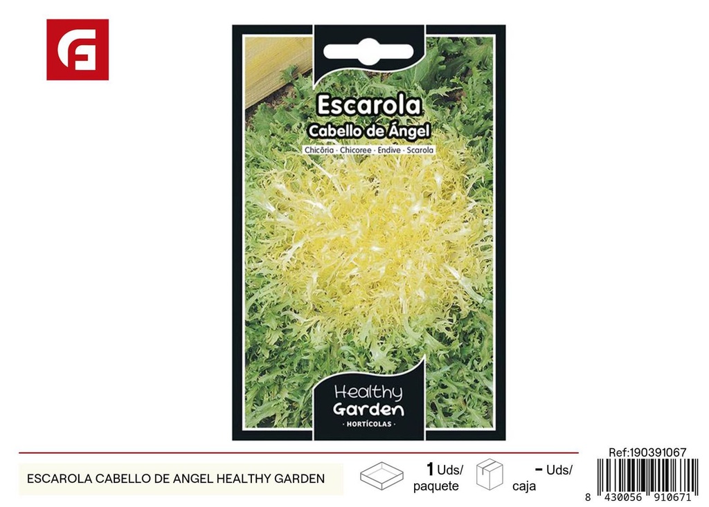 Semillas de escarola cabello de ángel - Variedades frescas para ensaladas