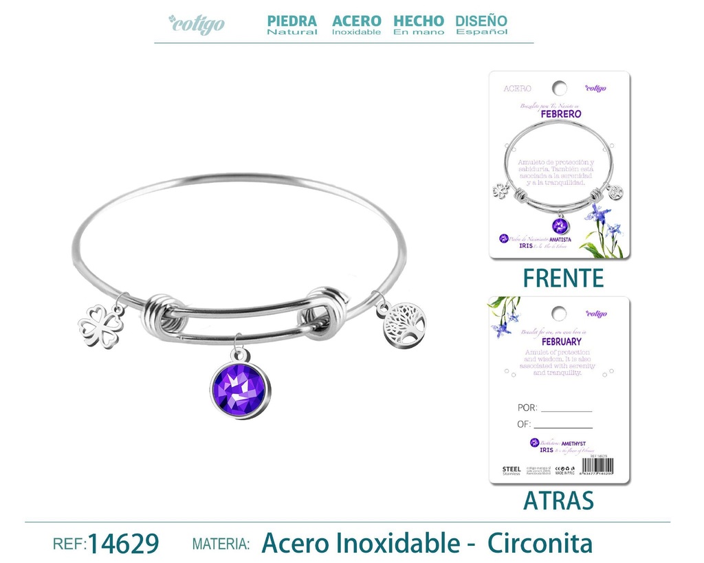 Brazalete de acero para nacimiento del mes de febrero - Joyas de regalo por mes
