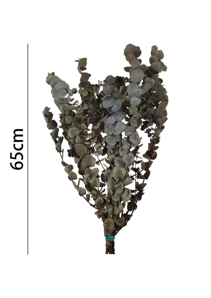 Eucalipto preservado 65 cm - Flores artificiales