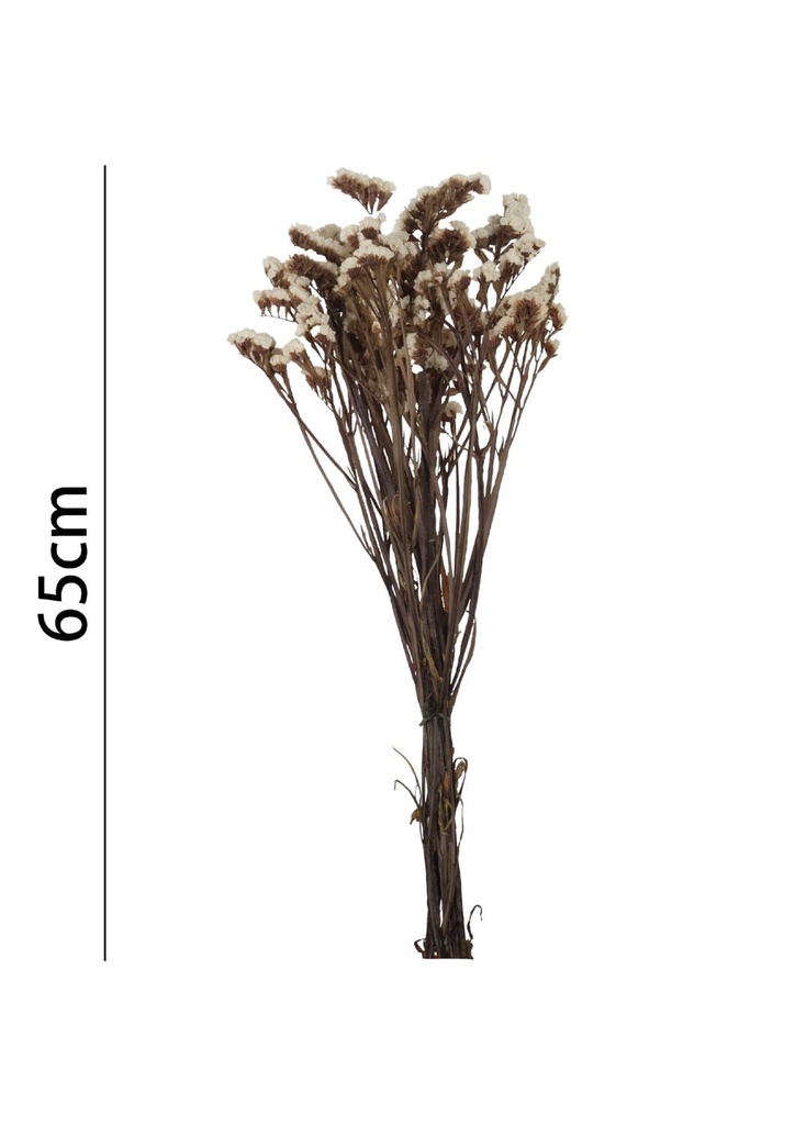 Limonio preservado 65 cm - Flores artificiales