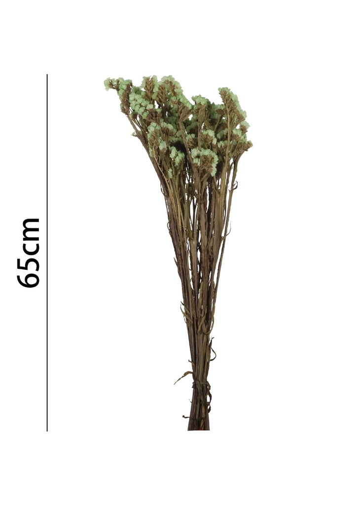 Ramo de flor de siempreviva 65 cm - Decoración floral