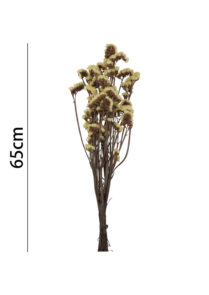 Limonio preservado 65 cm - Flores artificiales