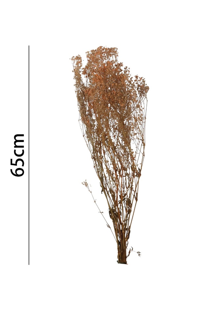 Gypsophila preservada 65 cm - Flores artificiales