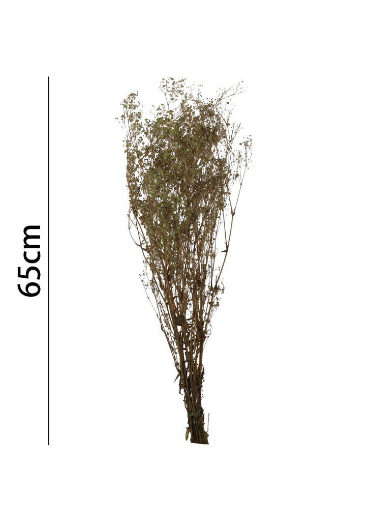 Ramo de gypsophila preservada de 65 cm - Flores secas