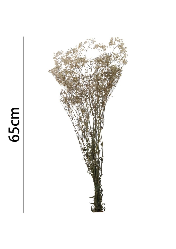 Ramo de gypsophila preservada de 65 cm - Flores artificiales y decoración