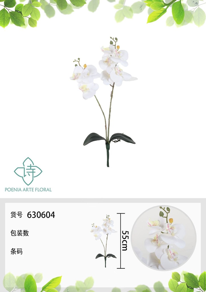 Orquídea mariposa con hojas de 2 ramas de 55 cm - Decoración floral VARAFLOR