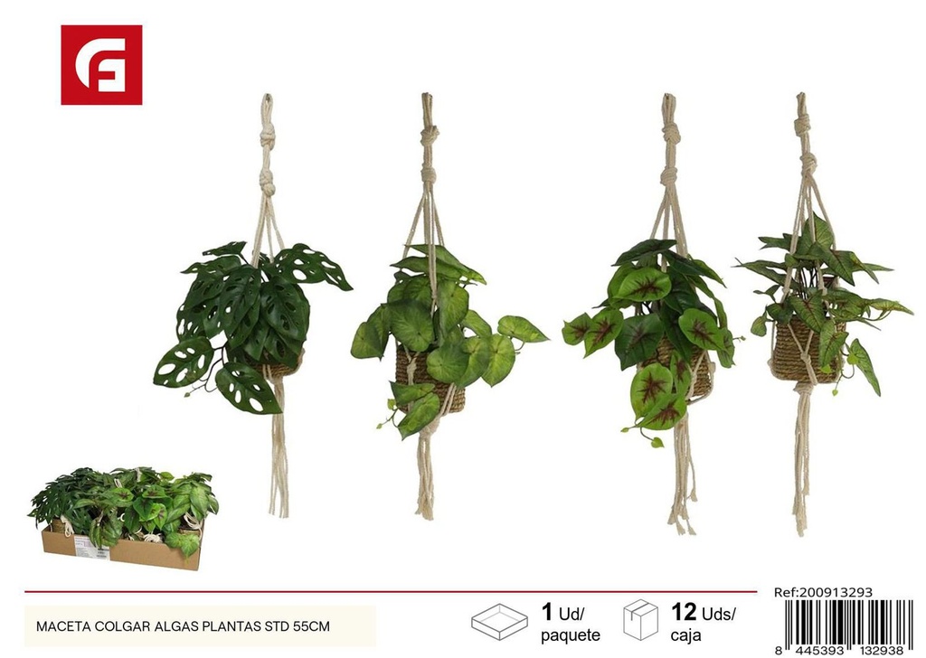 Maceta colgar algas plantas STD 55 cm - Soporte seguro para decoraciones