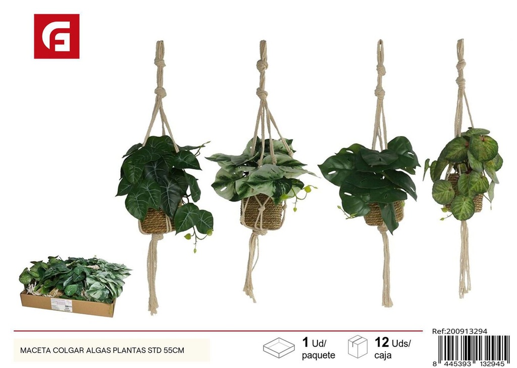Maceta colgar algas plantas STD 55 cm - Ajuste cómodo para decoraciones