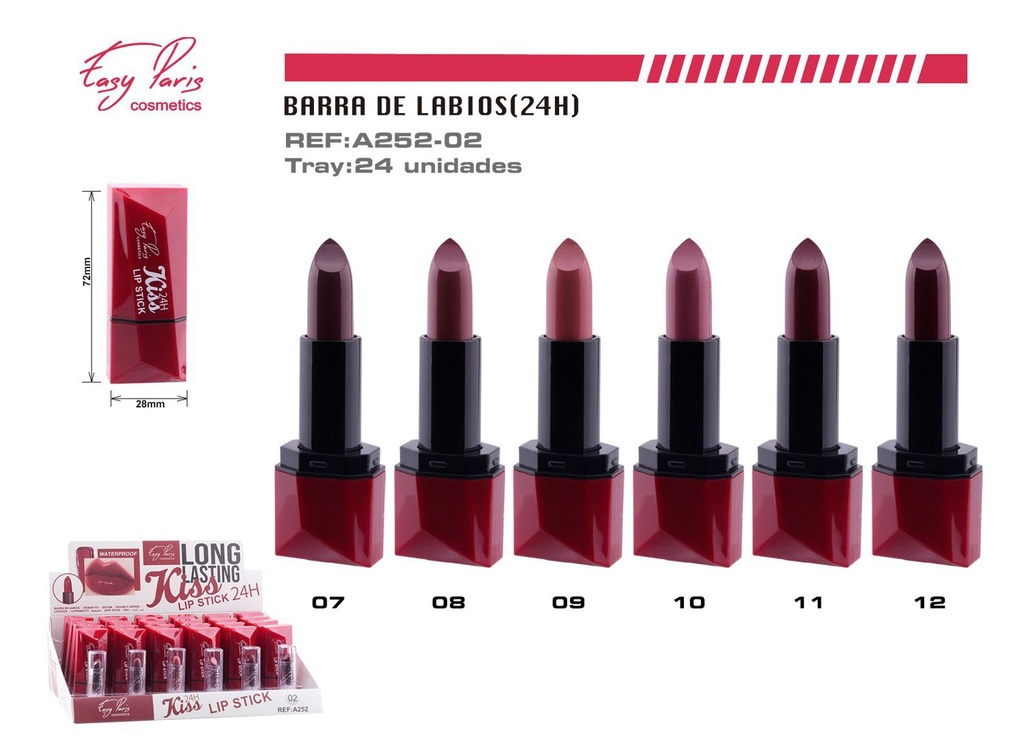  Barra de Labios Fijo 24h 24u - Labios duraderos y maquillaje 