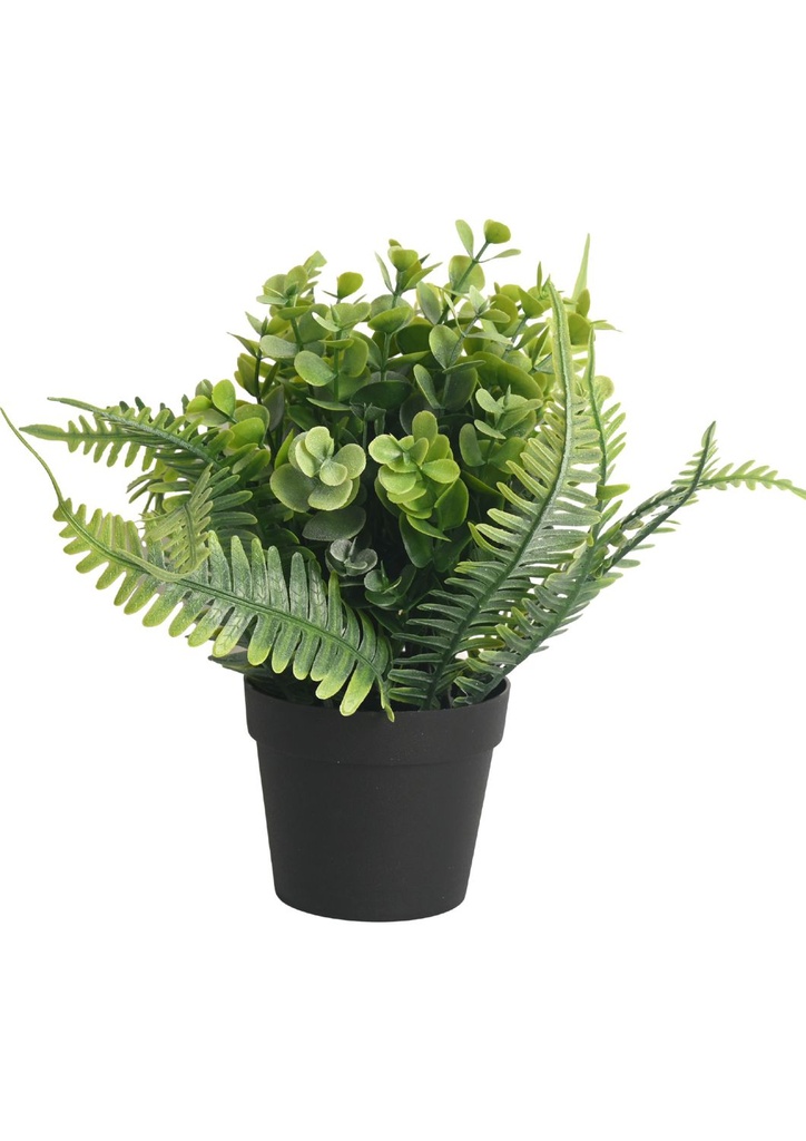 Planta artificial - Eucalipto en maceta de agua