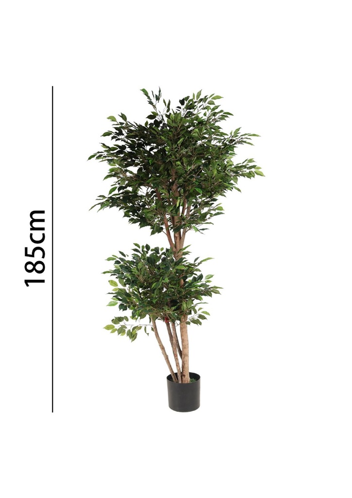 Mini árbol de ficus 185 cm - Plantas decorativas