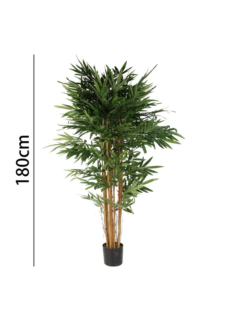 Bambú con maceta 180 cm - Plantas decorativas