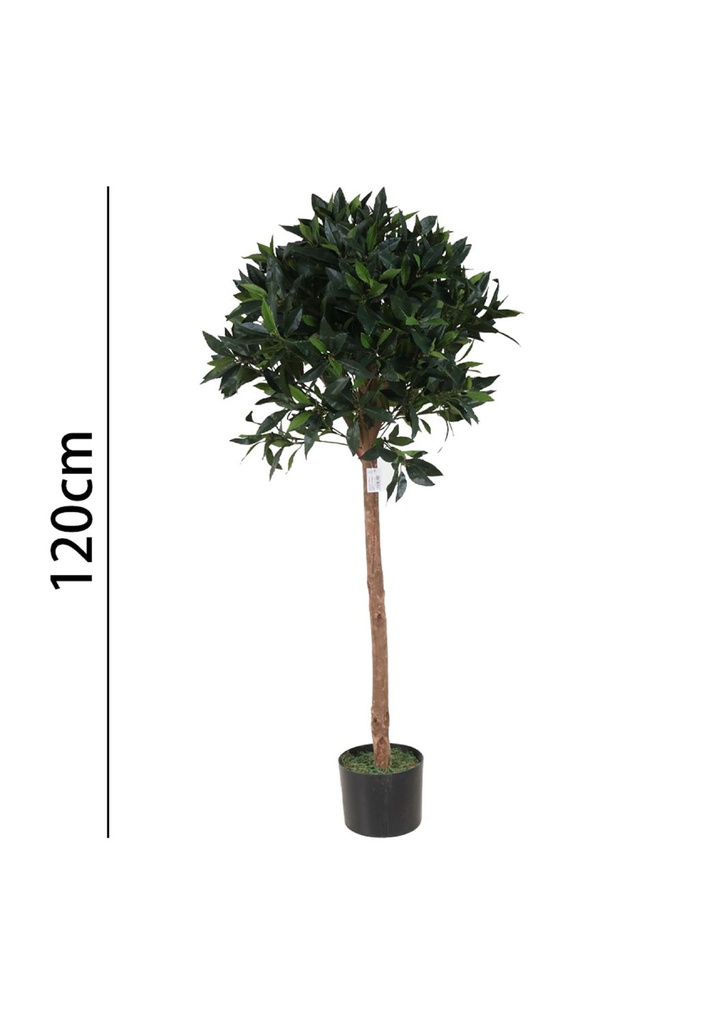 Árbol de laurel con maceta 120 cm - Plantas decorativas