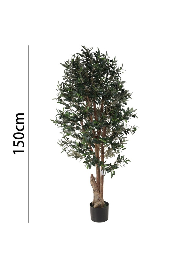 Olivo con maceta 150 cm - Plantas decorativas
