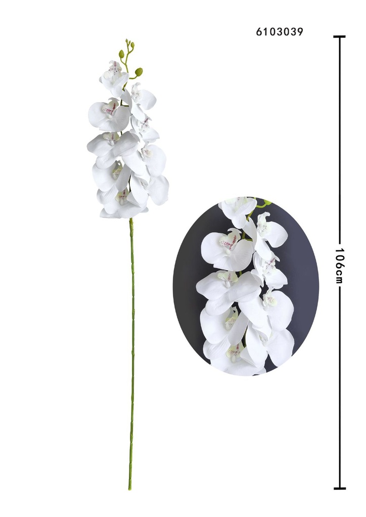 Ramo de orquídea mariposa 3D - Decoración floral
