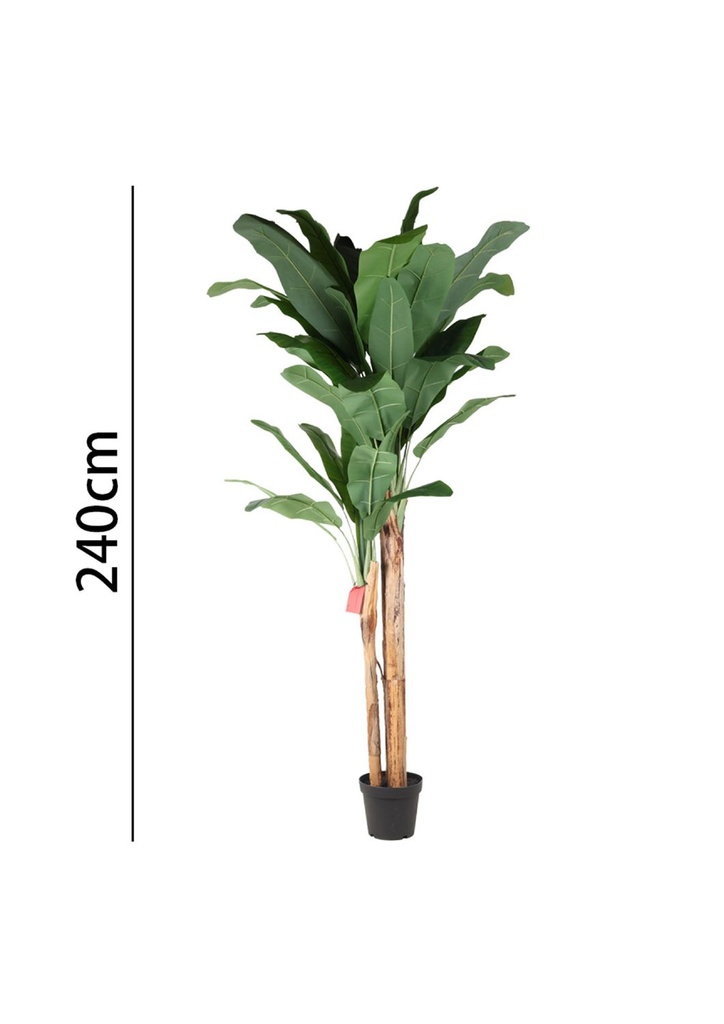 Árbol de banano 240 cm con maceta - Plantas decorativas