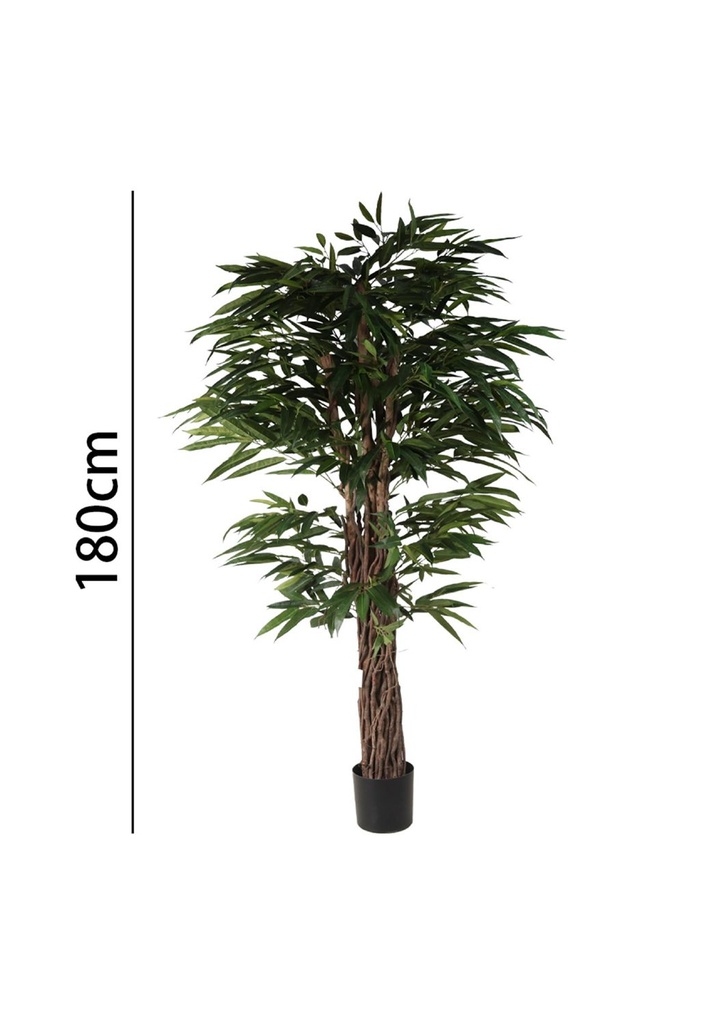 Árbol longifolia 180 cm con maceta - Plantas decorativas