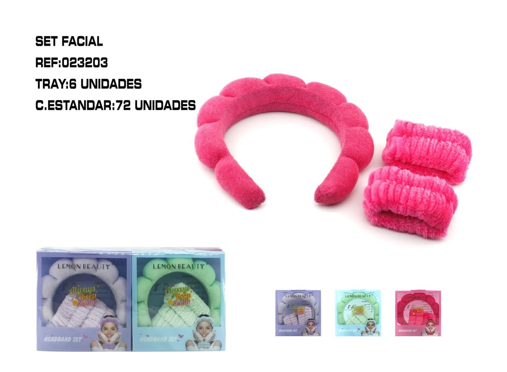 Juego de diademas con muérdago 6/U - Accesorios para el cabello y diademas