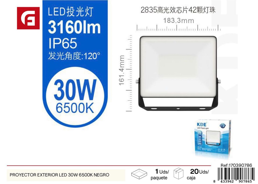 Proyector exterior LED negro de 30W 6500K - Iluminación
