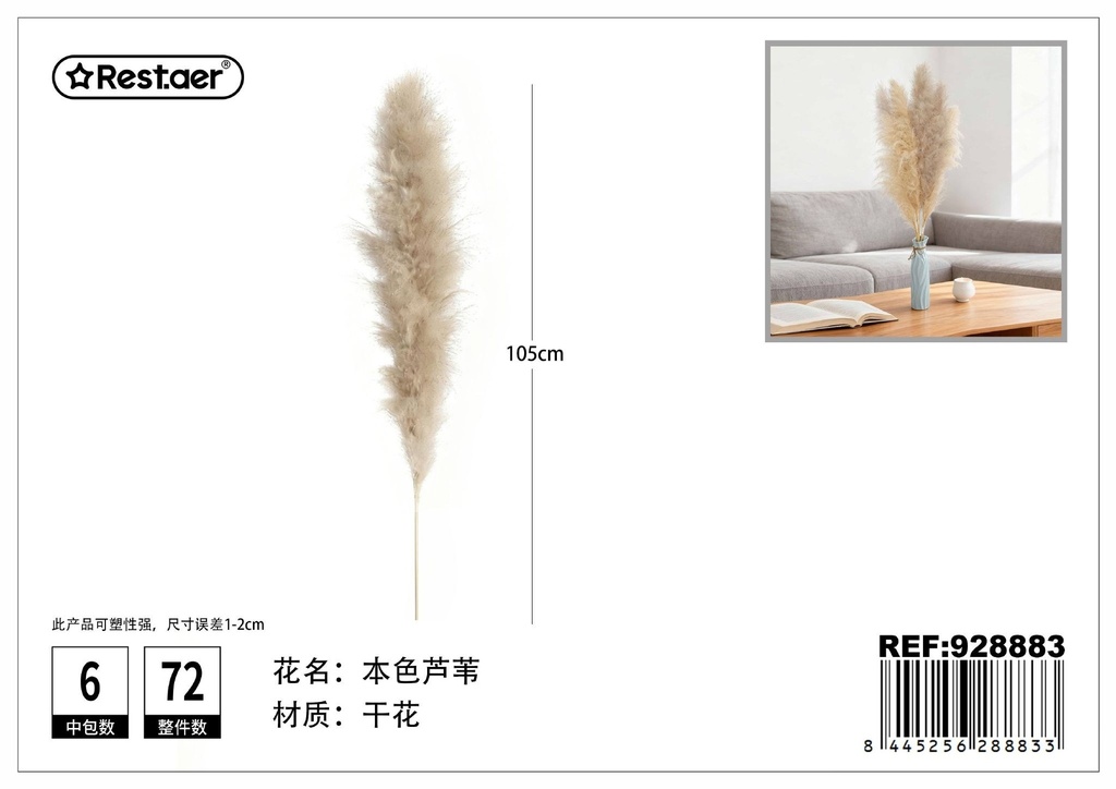 Ramo de cañas secas de color natural 90-100cm - Flores secas decorativas